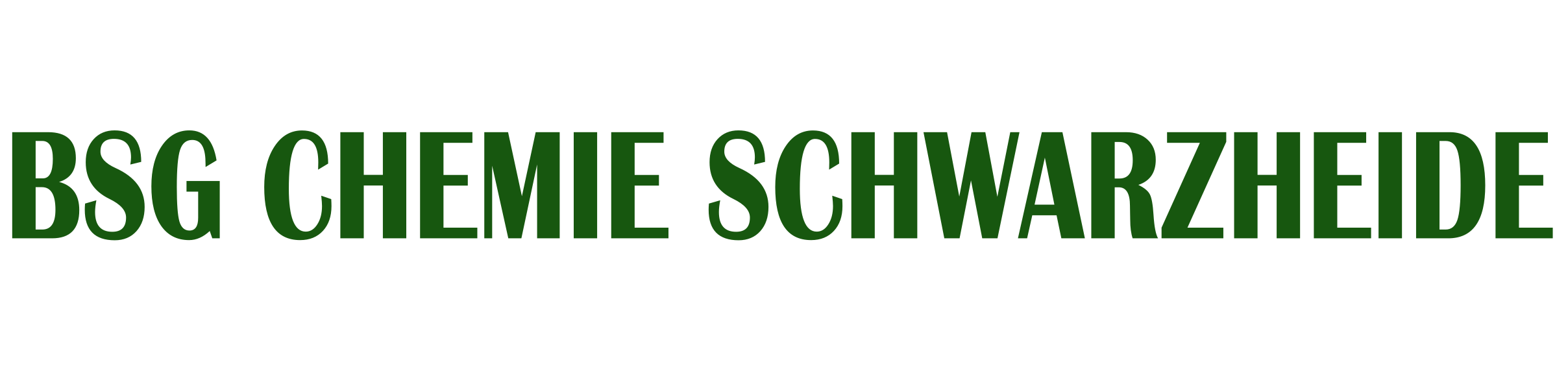 BSG Chemie Schwarzheide