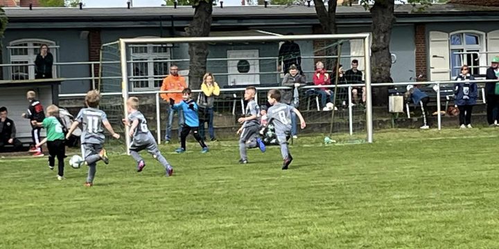 Testspiel-Siegesserie der Bambinis geht weiter