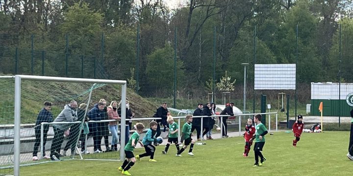 Bambinis behaupten sich gegen Hohenleipisch