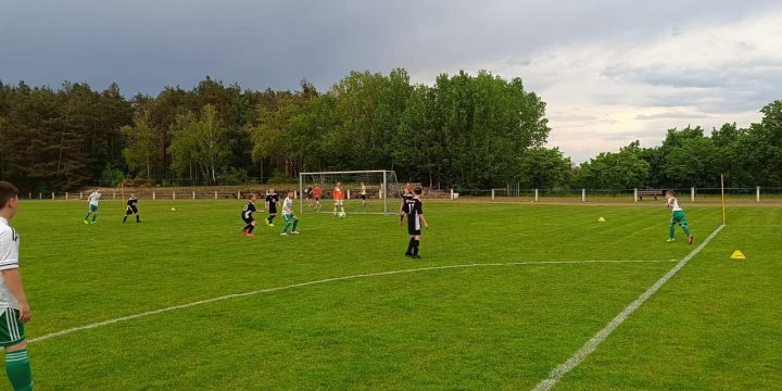 E-Junioren verlieren in Hohenleipisch