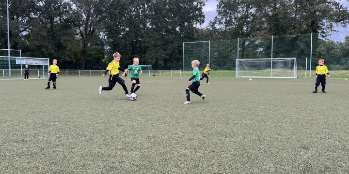 F-Junioren erwischen gebrauchten Tag in Brieske