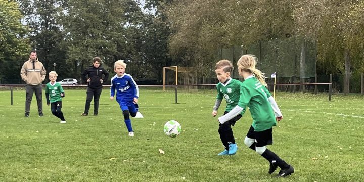 F1-Junioren mit anständiger Leistung in Altdöbern