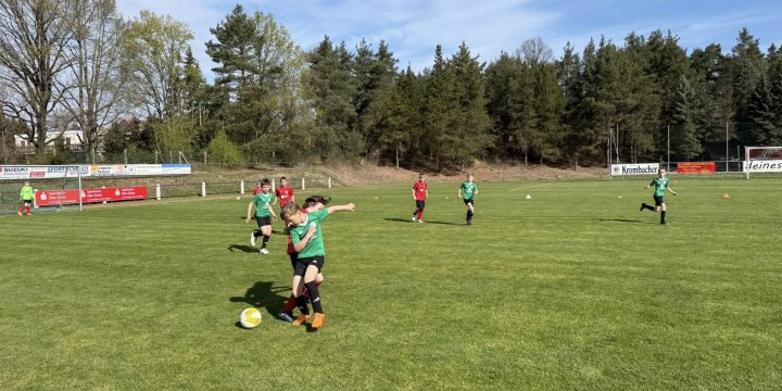 F – Junioren zeigen starke Leistung bei der U9-Förderliga in Hohenleipisch