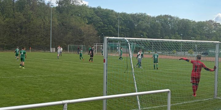 D-Junioren mit nächstem Ausrufezeichen – 9:0-Heimsieg!